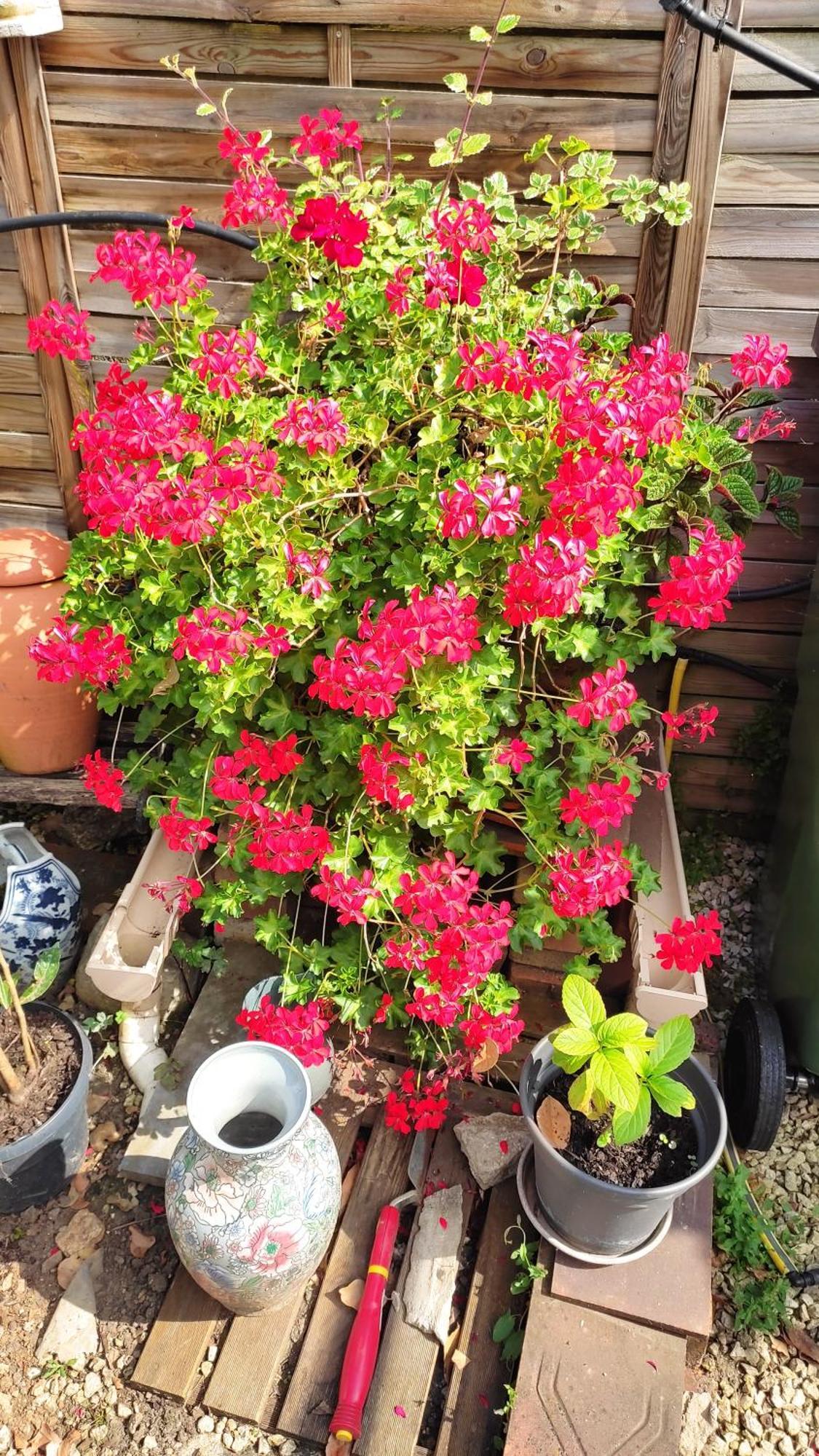 Un Deux Pieces Et Un Jardin A Villejuif Exteriér fotografie